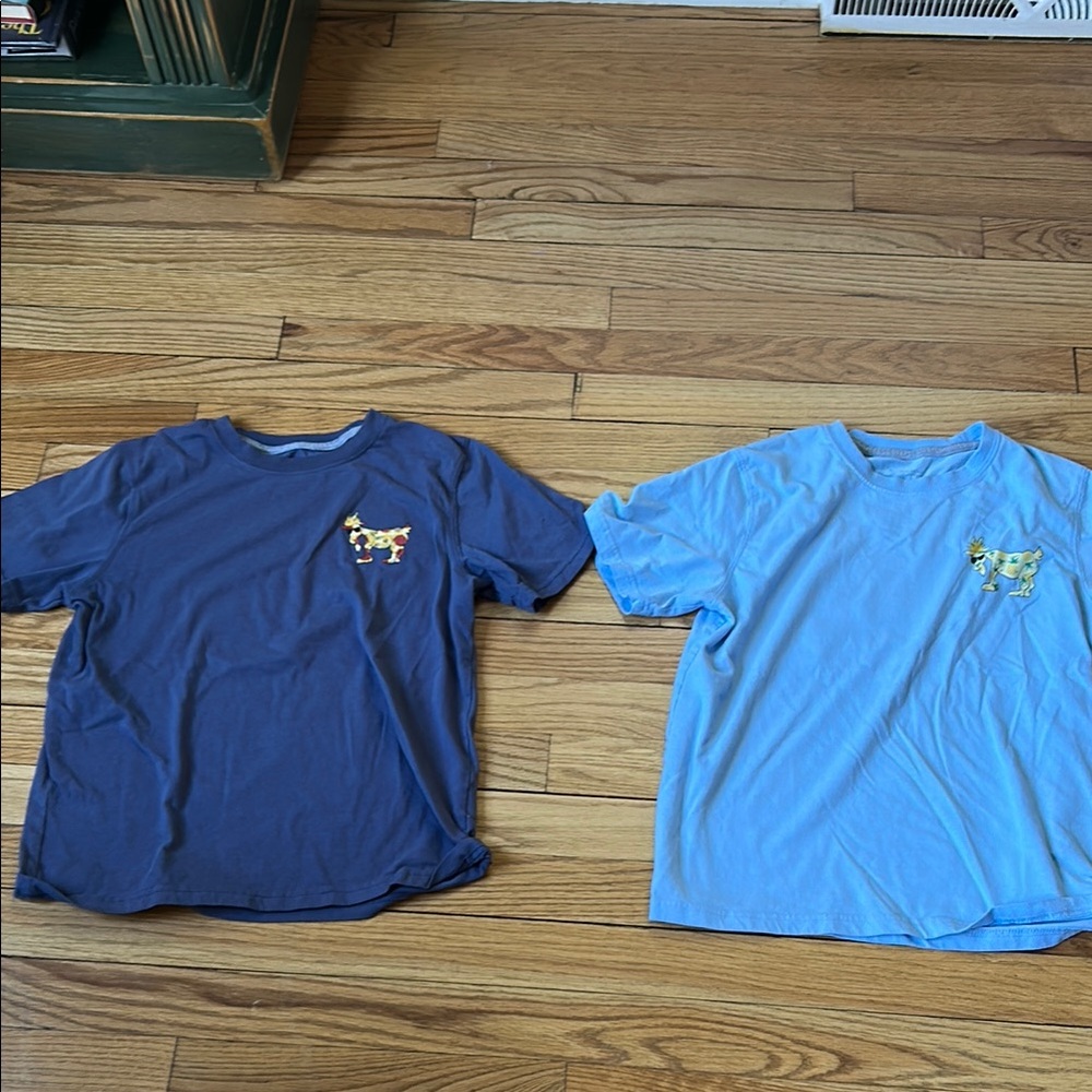 Kids Blue and Navy T-Shirts with Embroidered Design